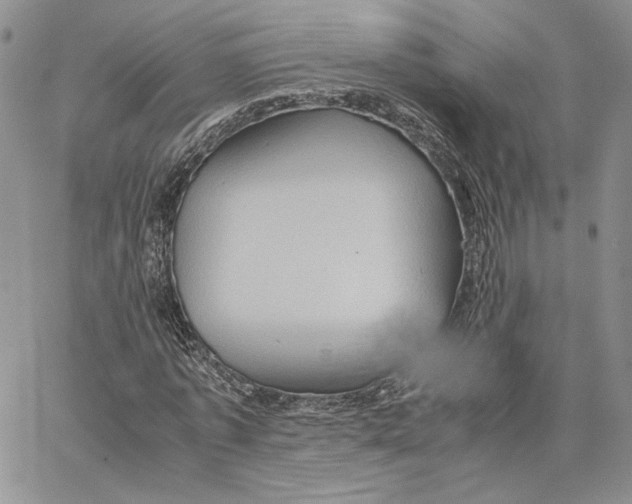 X0000062830773200602031536