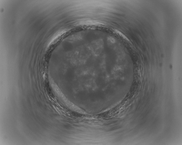 X0000062830775200602031536