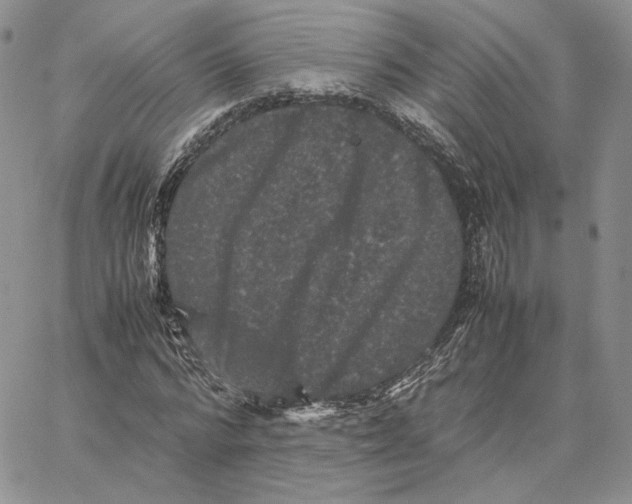 X0000062830776200602031536