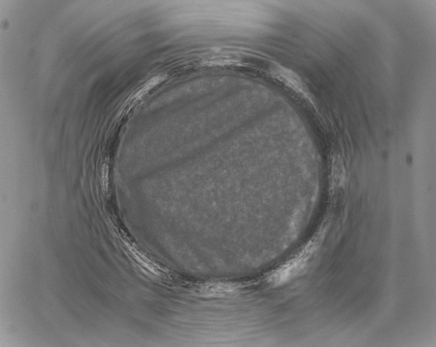 X0000062830777200602031536