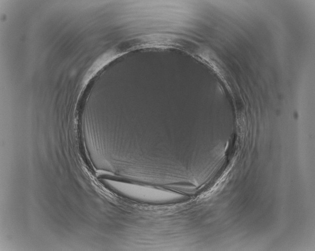 X0000062830779200602031536