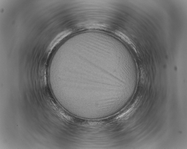 X0000062830782200602031536
