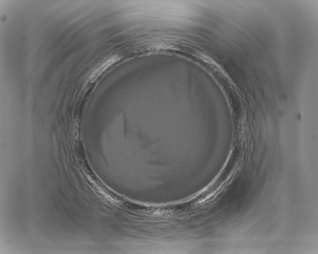 X0000062830785200602031536