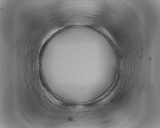X0000062830787200602031536