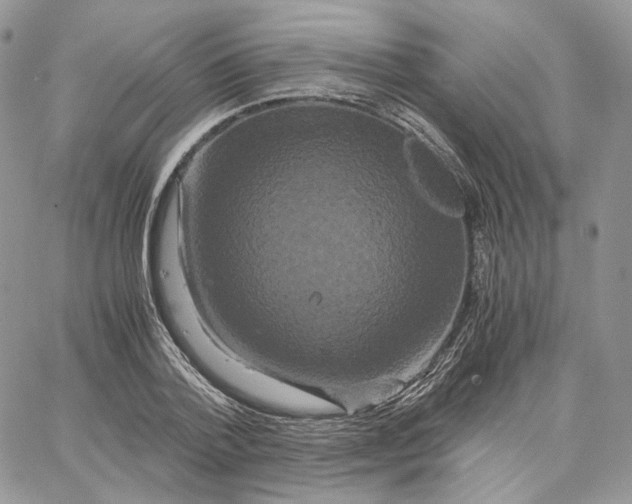 X0000062830788200602031536