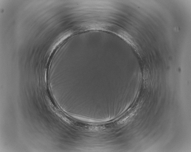 X0000062830790200602031536