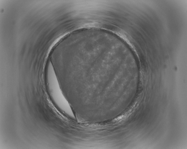 X0000062830791200602031536