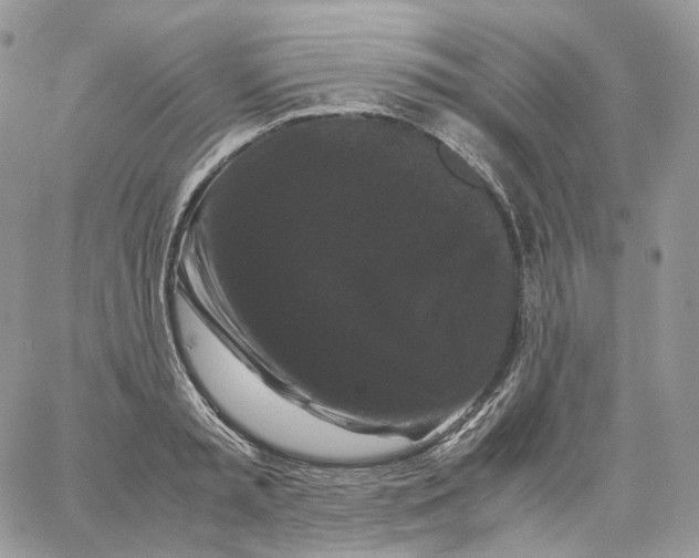 X0000062830797200602031536
