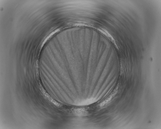 X0000062830798200602031536