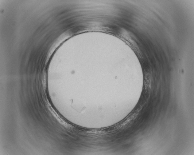X0000062830804200602031536
