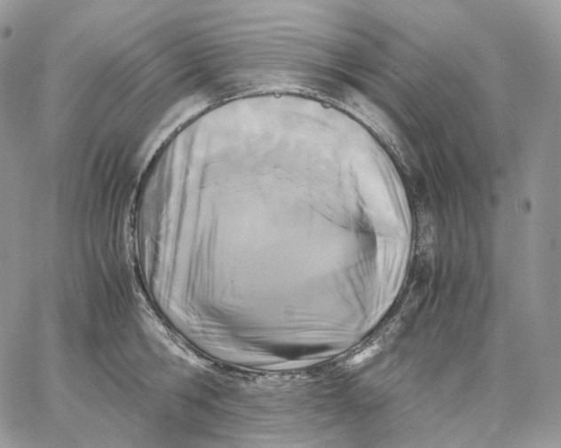X0000062830806200602031536