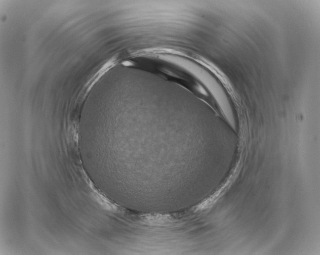 X0000062830809200602031535