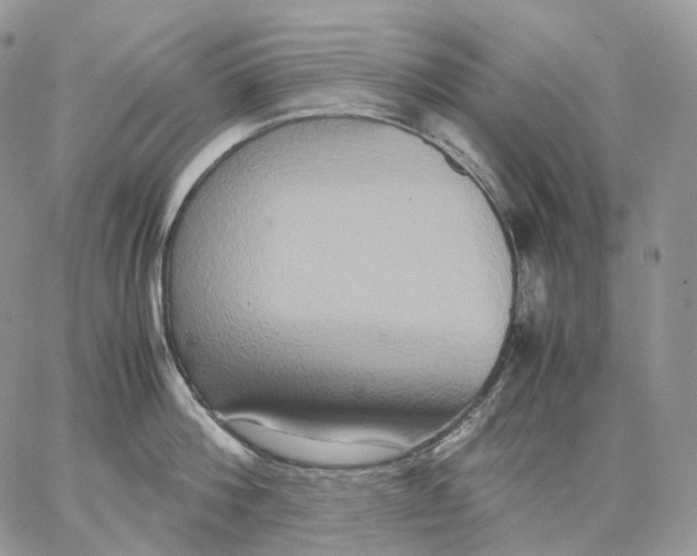 X0000062830812200602031535