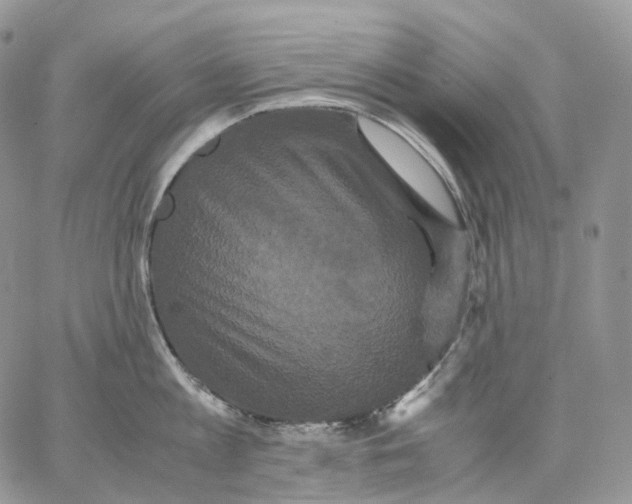 X0000062830813200602031535