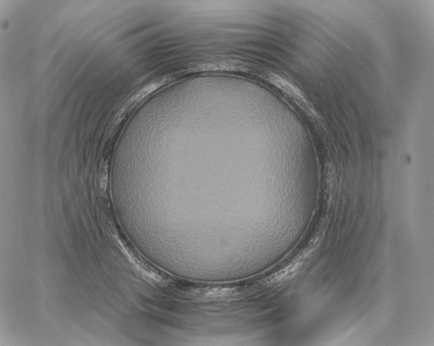 X0000062830841200602031535