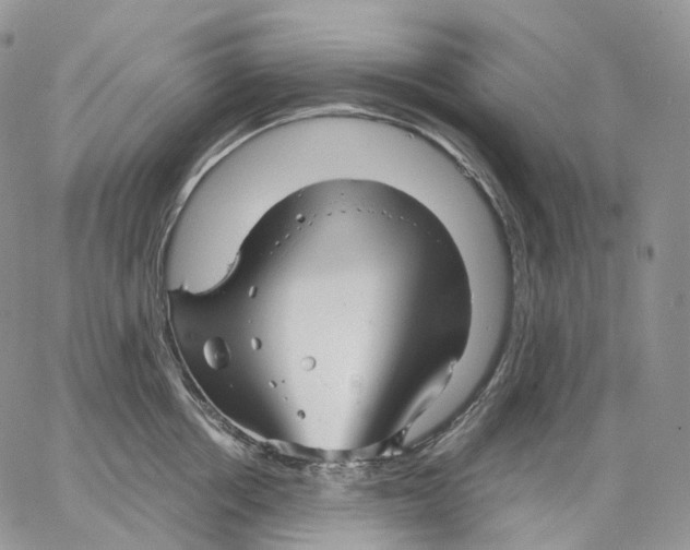 X0000062830858200602031535