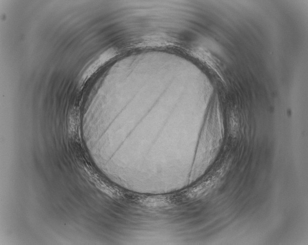 X0000062830874200602031534