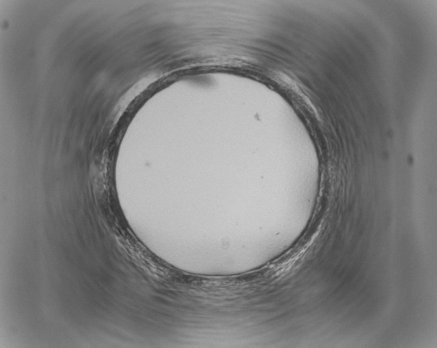 X0000062830875200602031534