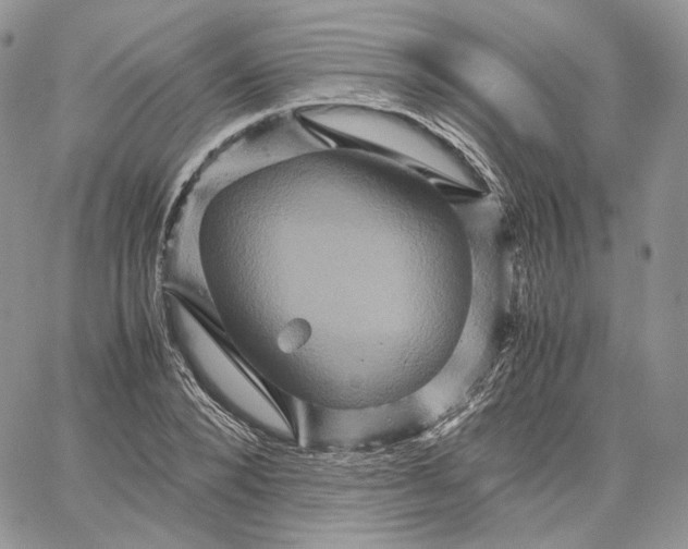 X0000062830880200602031534