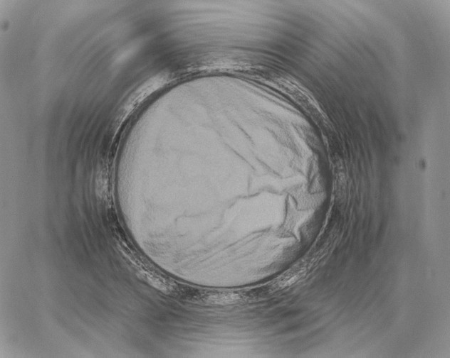 X0000062830882200602031534