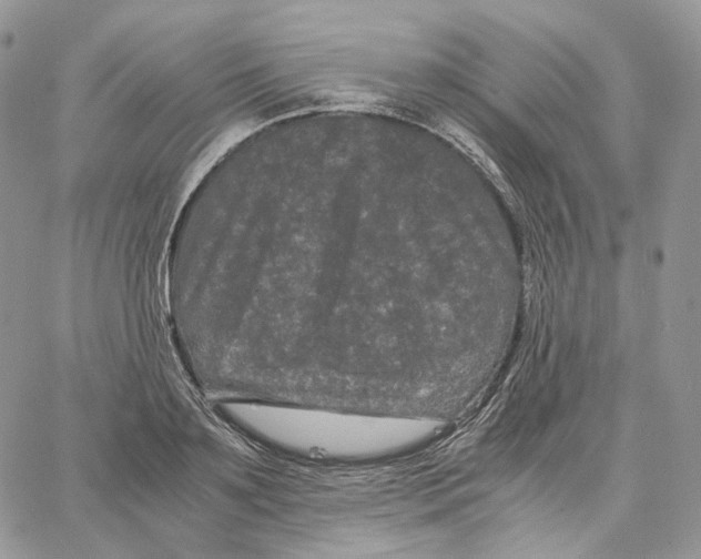 X0000062830891200602031534