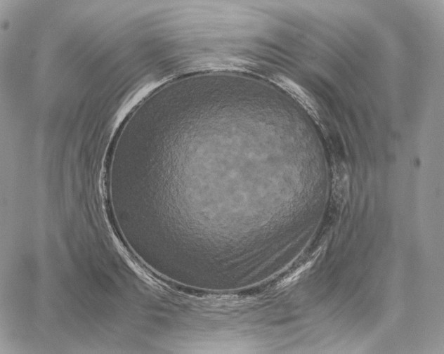 X0000062830893200602031534