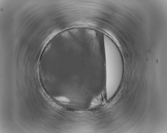 X0000062830899200602031534
