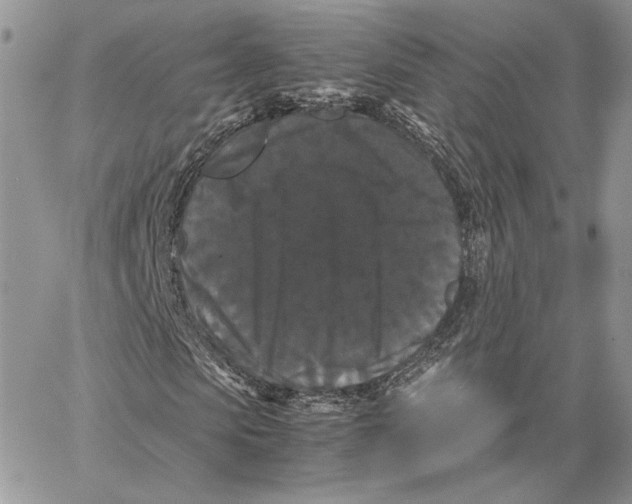 X0000062830913200602031533