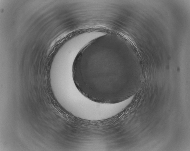 X0000062830920200602031533