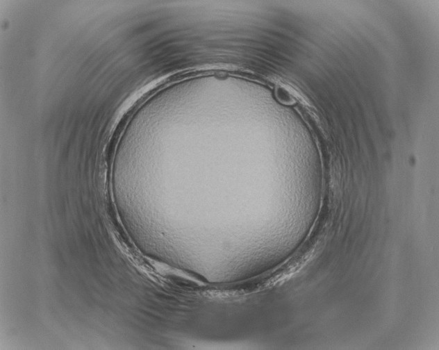 X0000062830933200602031533