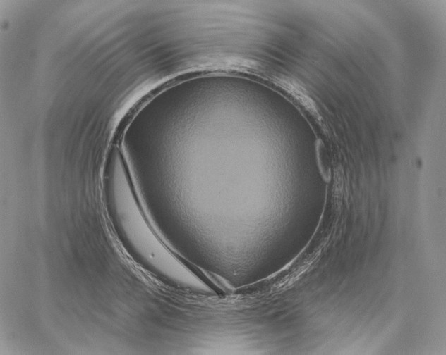 X0000062830936200602031533