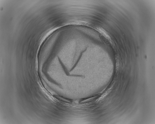 X0000062830940200602031533
