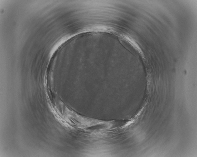 X0000062830944200602031534