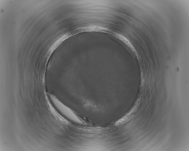 X0000062830946200602031534