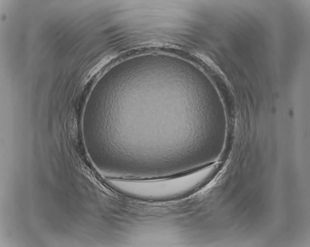 X0000062830969200602031533