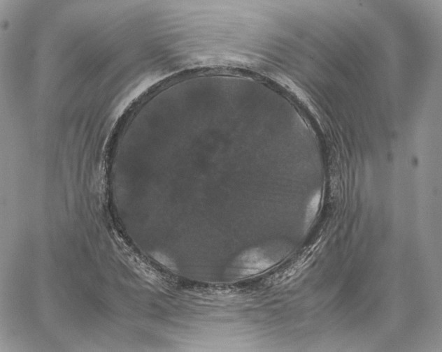 X0000062830975200602031533