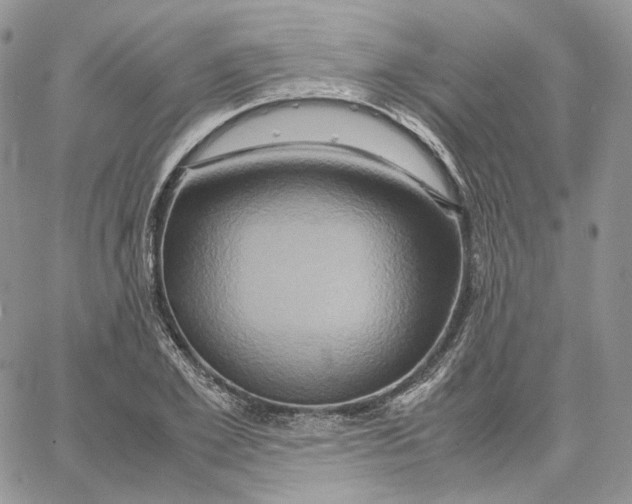 X0000062830981200602031533