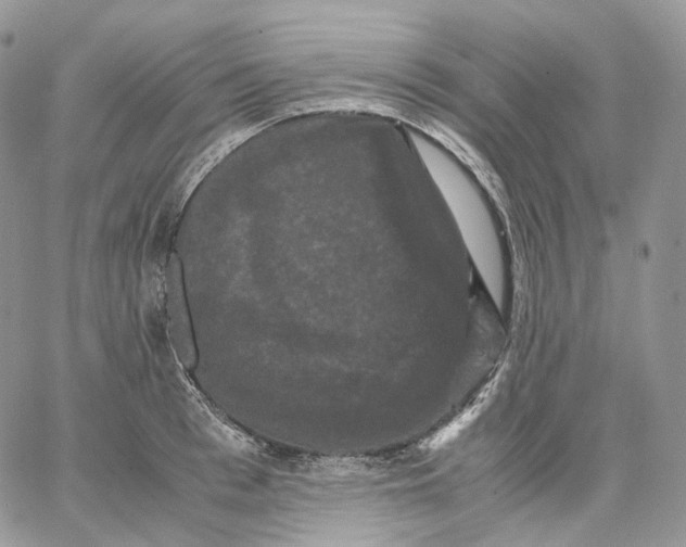X0000062830993200602031533