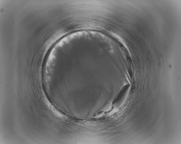 X0000062830995200602031532
