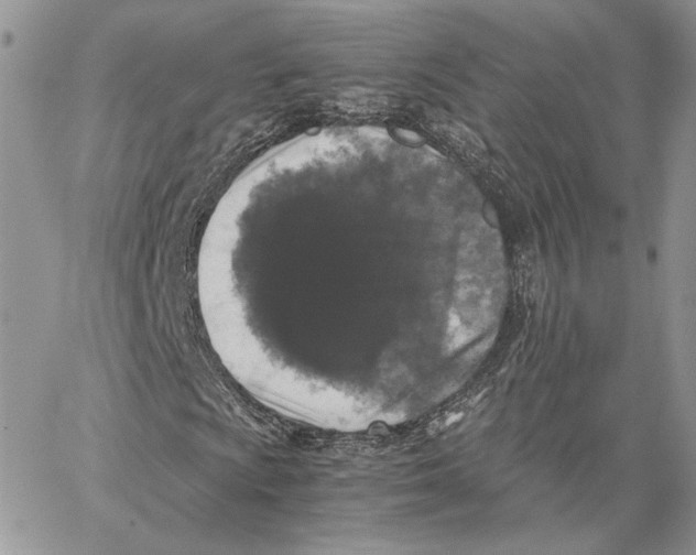 X0000062831009200602031532