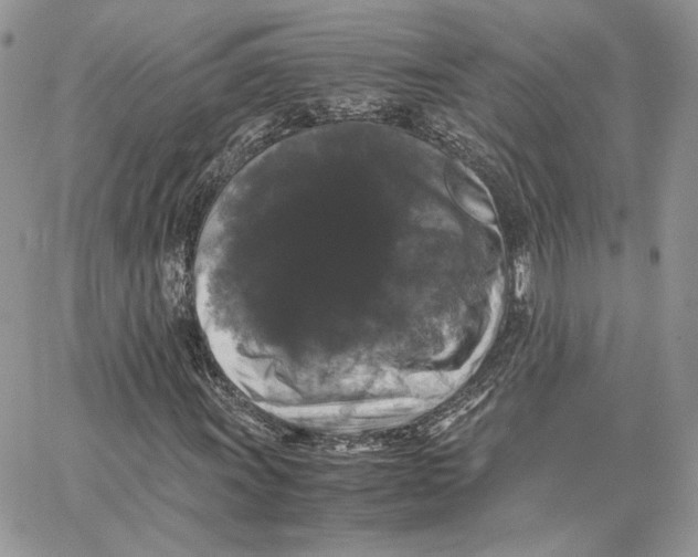 X0000062831011200602031532