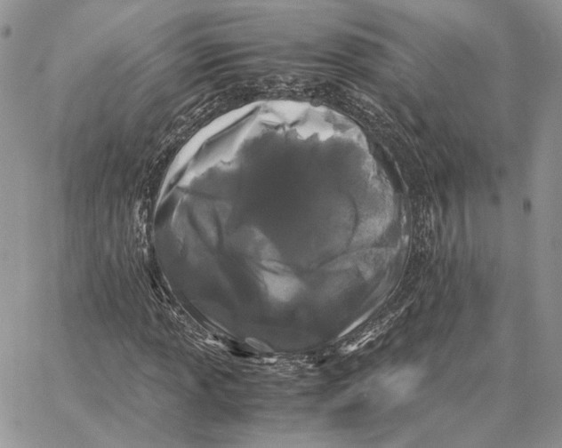 X0000062831013200602031532