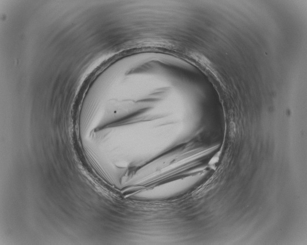 X0000062831024200602031532