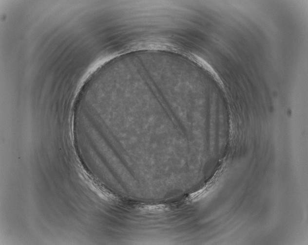 X0000062831035200602031532
