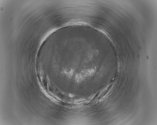 X0000062831038200602031532