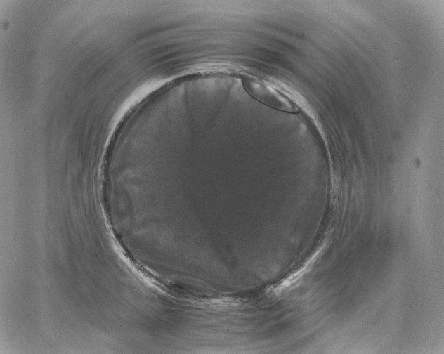 X0000062831045200602031532
