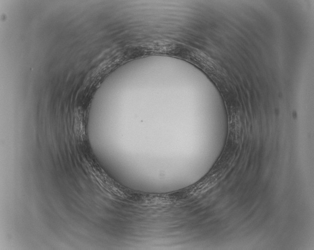 X0000062831058200602031531