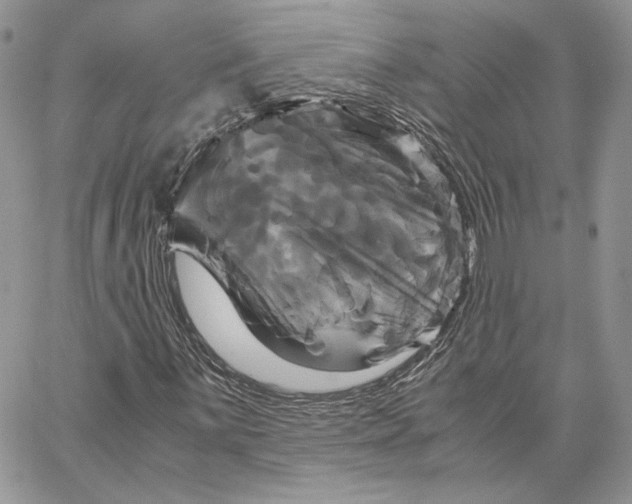 X0000062831059200602031531