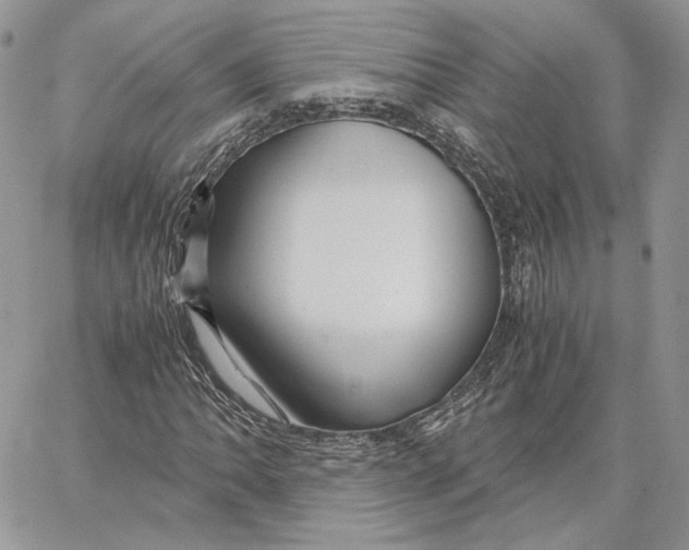 X0000062831062200602031531