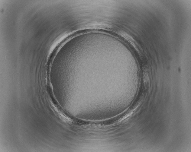 X0000062831069200602031531